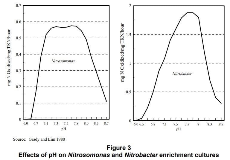 Effects of pH on Nitrosomonas and Nitrobacter Enrichment Cultures