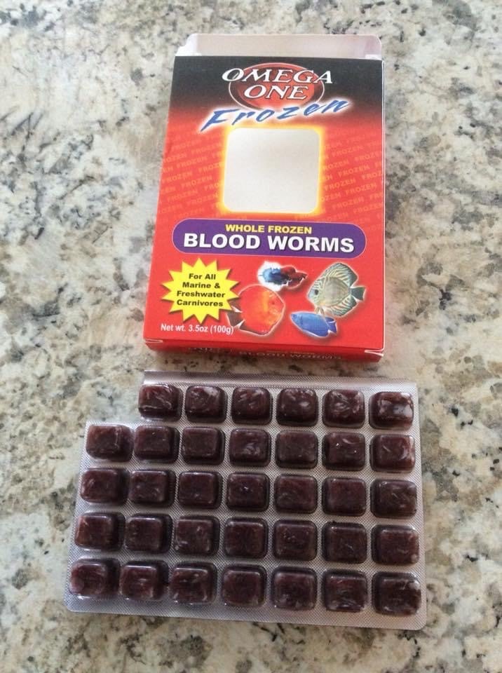 Omage Frozen Bloodworms in Blocks