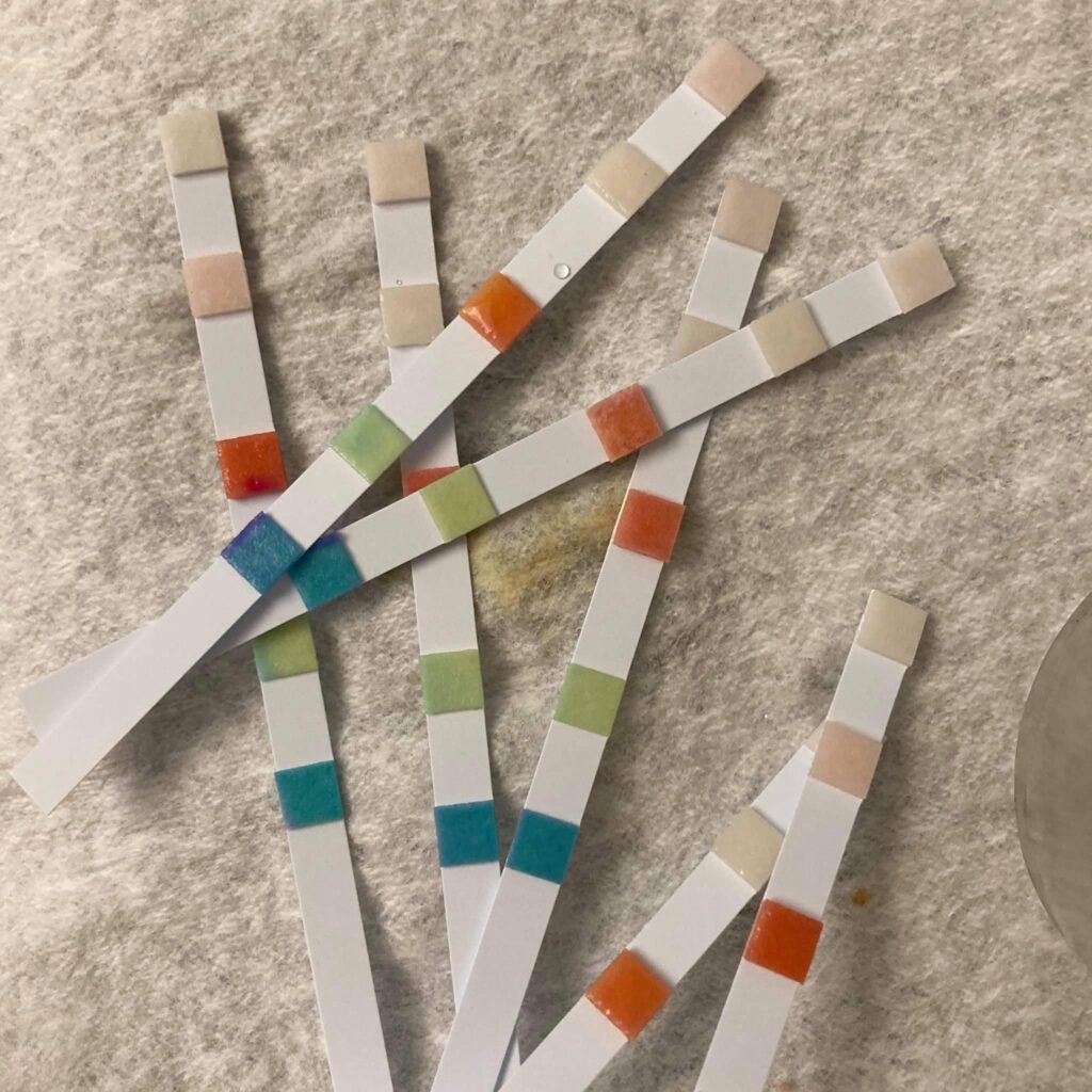 Paper Test Strips