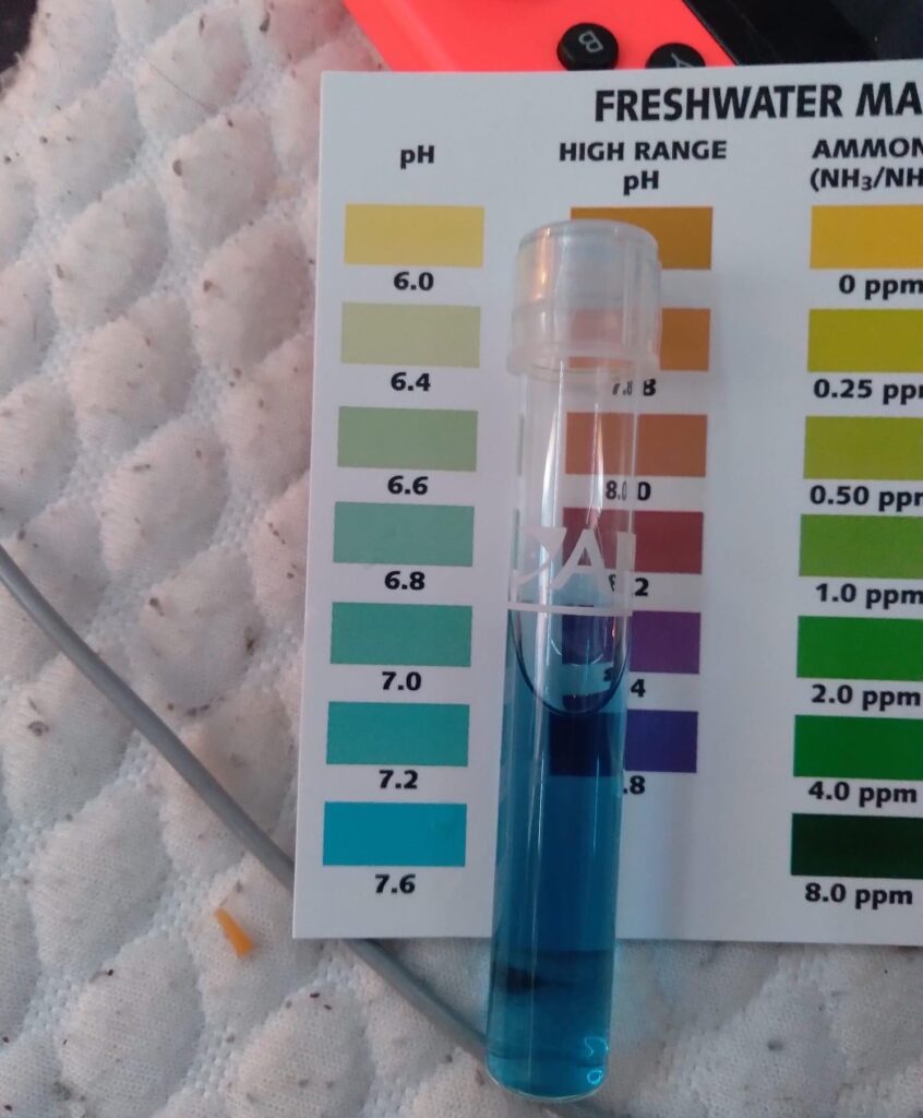 Testing pH of the Water